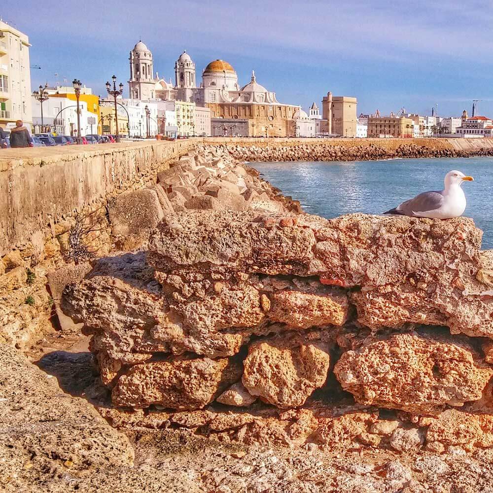 Hotel Regio Cádiz